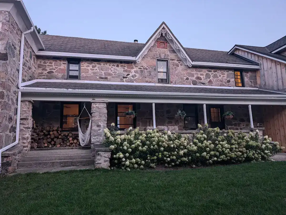 Front porch and limelight hydrangeas